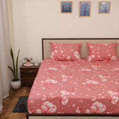 Image0