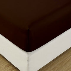 Image1