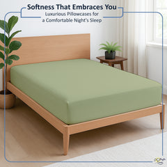 Premium 100% Cotton Fitted Bedsheet | Soft & Cooling Hotel-Quality Sheet | 10-Inch Deep Pocket, All-Round Elastic (Sage)