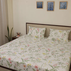 Image4