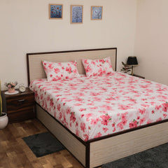 Image2