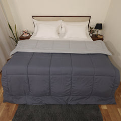 Luxurious Down Alternative Reversible Comforter | All Season Warmth Down 1 PC Reversible Comforter Set | 100% Microfiber Cover | Down Fiber Duvet Insert | Silver/Dark Grey